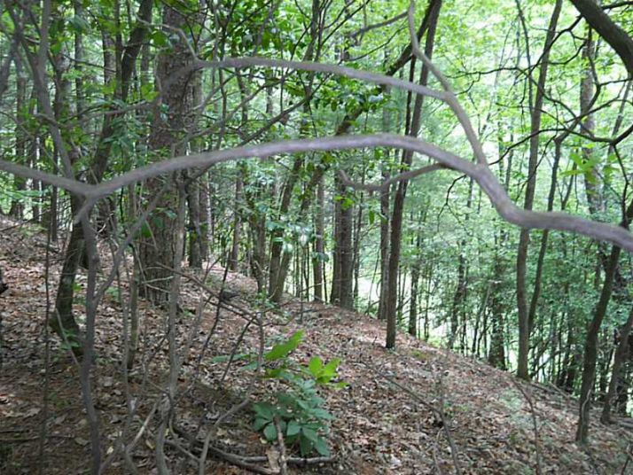 0 Dach Brucke Gasse Lot 6, Helen, GA 30545