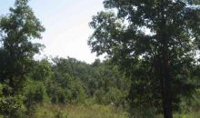 783 C.C. Ravenden Springs, AR 72460