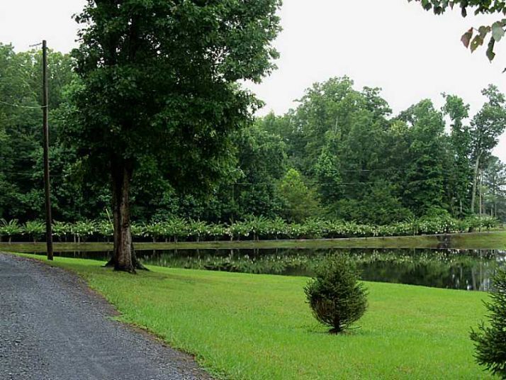 456 Cut Off Road Sw, Plainville, GA 30733