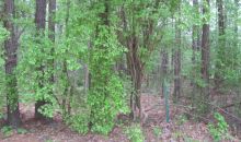 Red Cut Hill Rd Tract 4 Leesville, LA 71446