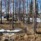 1428 S Chugach Street, Palmer, AK 99645 ID:1514839