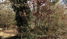 2055 E Roxboro Road Atlanta, GA 30324