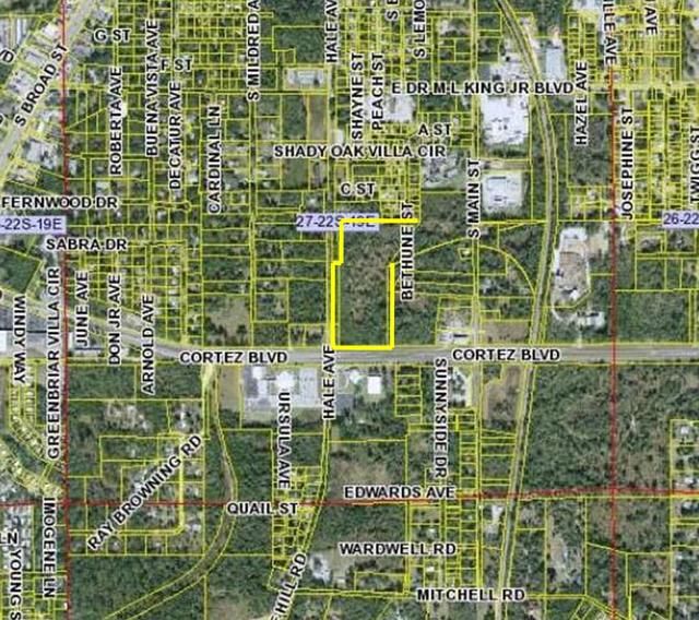 Cortez Blvd. & Hale Avenue, Brooksville, FL 34601