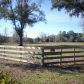 Horse Lake Rd, Brooksville, FL 34601 ID:275616