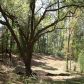 0 Country Woods Drive, Fairhope, AL 36532 ID:1981875