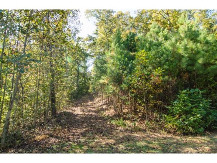 866 Cove Lake Drive, Marble Hill, GA 30148