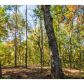 866 Cove Lake Drive, Marble Hill, GA 30148 ID:2824463