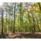 866 Cove Lake Drive, Marble Hill, GA 30148 ID:2824465