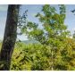 866 Cove Lake Drive, Marble Hill, GA 30148 ID:2824471