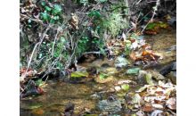 0 Timbercreek Drive Marble Hill, GA 30148