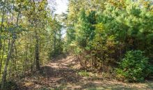 866 Cove Lake Drive Marble Hill, GA 30148