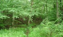 459 Cove Lake Drive Marble Hill, GA 30148