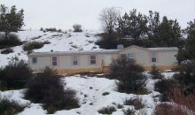Spring St Collbran, CO 81624
