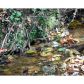 0 Timbercreek Drive, Marble Hill, GA 30148 ID:2680664