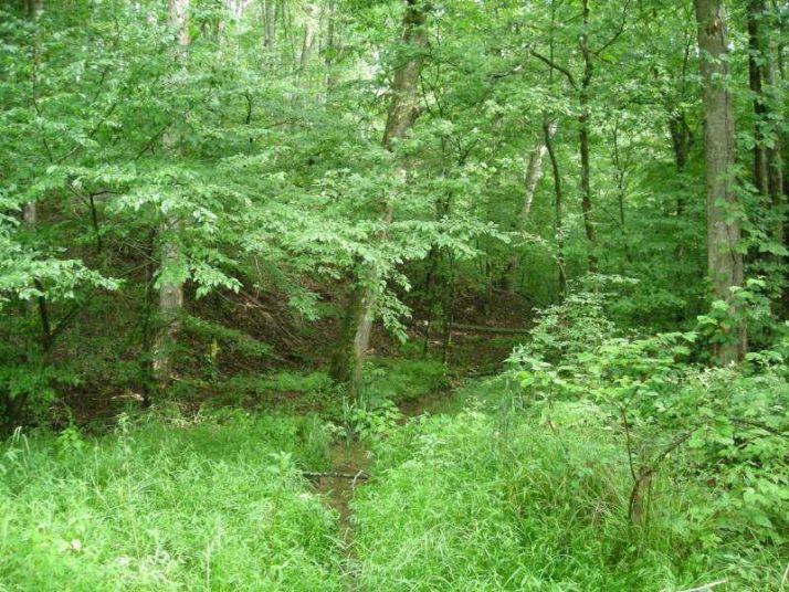 459 Cove Lake Drive, Marble Hill, GA 30148