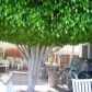 11301 EUCLID #43, Garden Grove, CA 92843 ID:895774