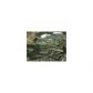 3109 Caney Road, Cumming, GA 30041 ID:2436154