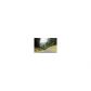 137 Comfort Lane, Dahlonega, GA 30533 ID:2806775