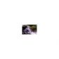 137 Comfort Lane, Dahlonega, GA 30533 ID:2806778