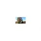 137 Comfort Lane, Dahlonega, GA 30533 ID:2806779