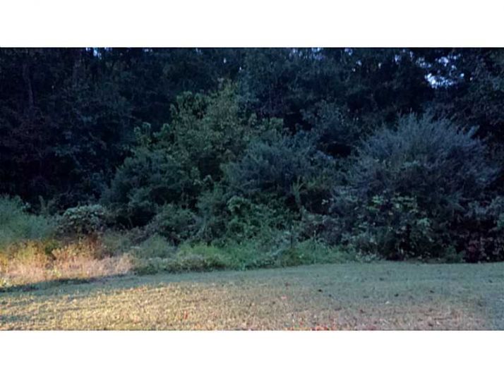 1654 Karsyn Lane, Lithia Springs, GA 30122