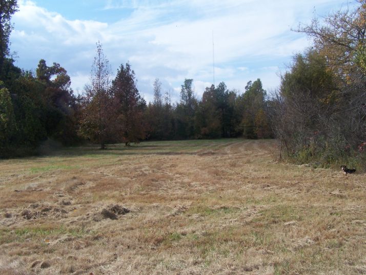 000 Greene 7615 Road, Paragould, AR 72450
