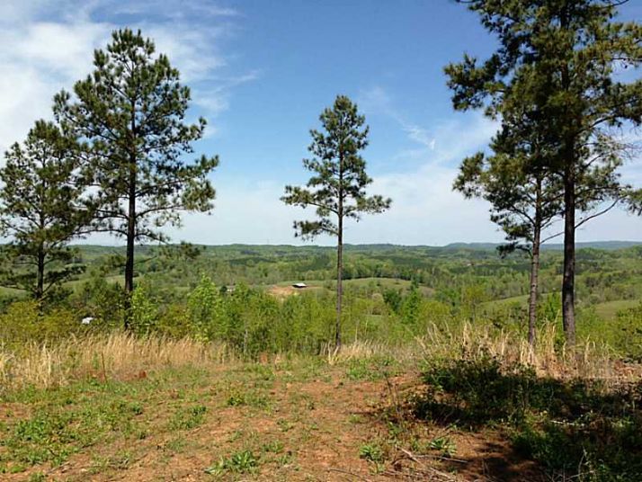 0 Fairmount Road, Waleska, GA 30183