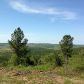 0 Fairmount Road, Waleska, GA 30183 ID:2440490