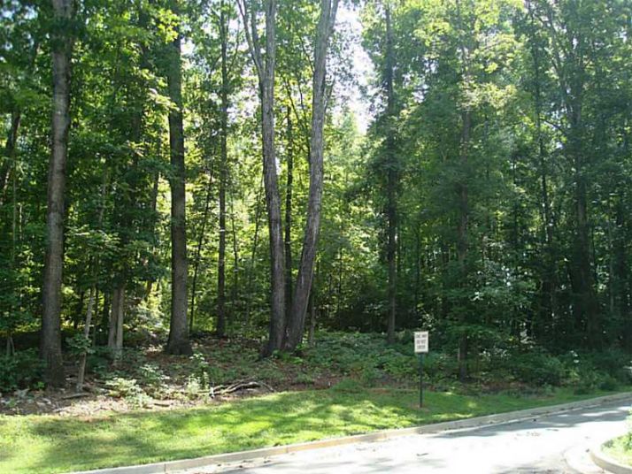 0 Hickory Road, Canton, GA 30115