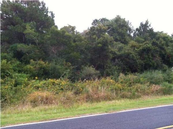 0 CHAPEL RD, Hollywood, SC 29449