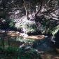 2055 Henry Scott Road, Ball Ground, GA 30107 ID:2829038