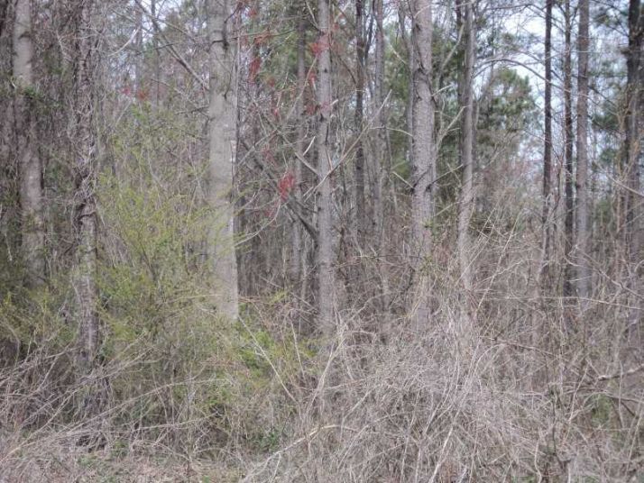 0 Hill City Road, Jasper, GA 30143