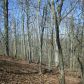2825 Gaines Mill Road, Gainesville, GA 30507 ID:2637123