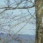 2825 Gaines Mill Road, Gainesville, GA 30507 ID:2637126