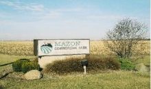 Lot 1 East (IL Route 47) Mazon, IL 60444