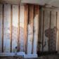 2330 E Letterly St., Philadelphia, PA 19125 ID:1701164
