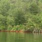 3572 Dorsey Drive, Gainesville, GA 30503 ID:2435439