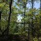 3572 Dorsey Drive, Gainesville, GA 30503 ID:2435440