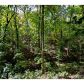 3572 Dorsey Drive, Gainesville, GA 30503 ID:2435446