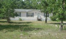 947 Whisper Ridge Loop # 1030 Waynesville, GA 31566