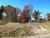 000 HWY 810 NORTH Kuttawa, KY 42055