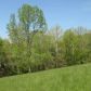 Hwy 295, Kuttawa, KY 42055 ID:3096729
