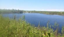 14195 W Cozy Ridge Road Big Lake, AK 99652
