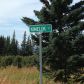 17698 Kimeluk Street, Ninilchik, AK 99639 ID:1079779