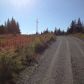 17698 Kimeluk Street, Ninilchik, AK 99639 ID:1079780