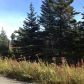17698 Kimeluk Street, Ninilchik, AK 99639 ID:1079781