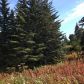 17698 Kimeluk Street, Ninilchik, AK 99639 ID:1079782