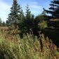 17698 Kimeluk Street, Ninilchik, AK 99639 ID:1079783