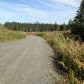 17698 Kimeluk Street, Ninilchik, AK 99639 ID:1079784