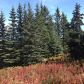 17698 Kimeluk Street, Ninilchik, AK 99639 ID:1079785